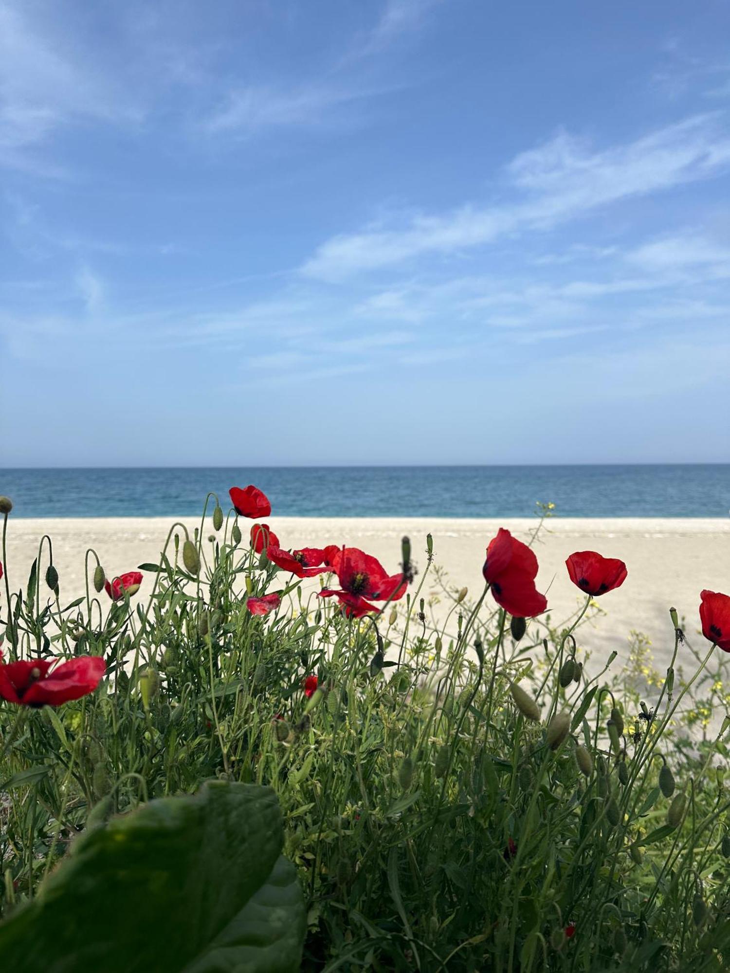 Amelia Beach Apartments Agios Ioannis  Kültér fotó